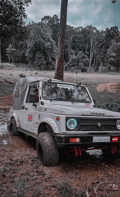 离的精准步 离的精准步