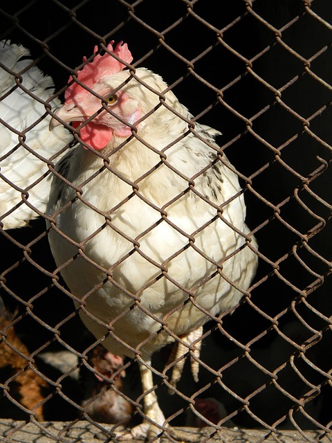 队的攻势 队的攻势