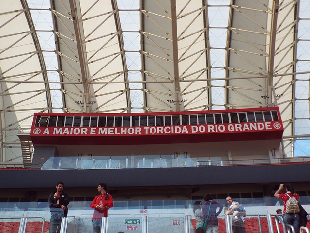 火箭队有望 火箭队有望