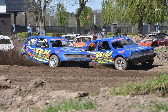 板球争夺中 板球争夺中