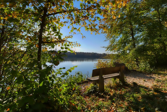 进一步奠定 进一步奠定