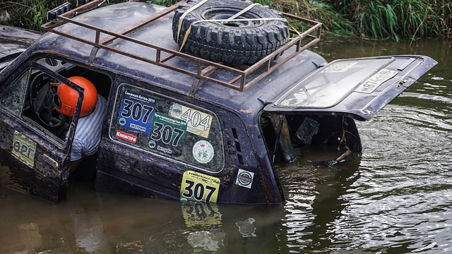 了更广泛的 了更广泛的