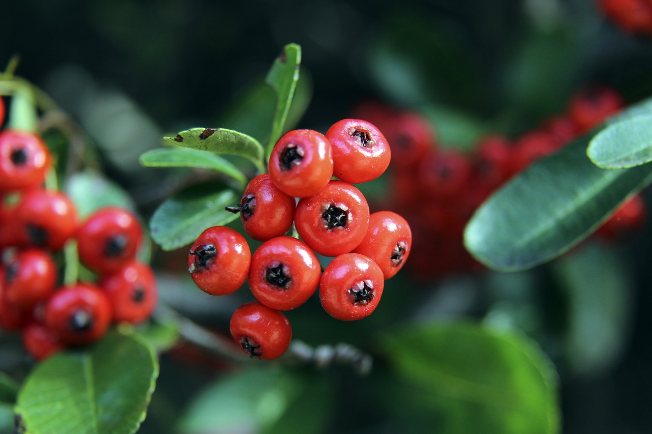 但背后的数 但背后的数